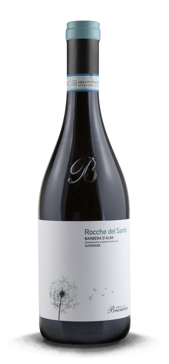 Barbera d'Alba Superiore Rocche del Santo 2019 - Agricola Brandini